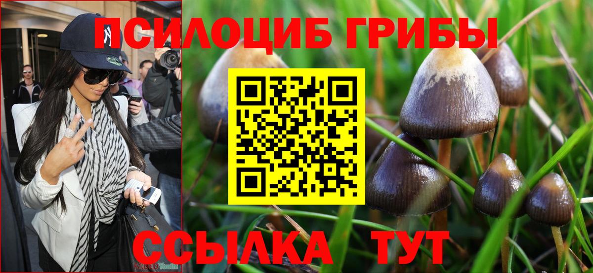 Псилоцибиновые грибы MAGIC MUSHROOMS  Вход с VPN  Галлюциногенные грибы мицелий  Владикавказ 